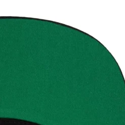 Front Loaded Snapback Hwc Toronto Raptors