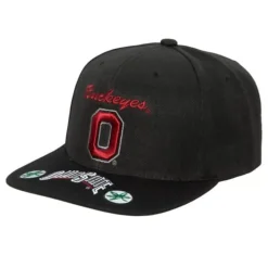 Front Loaded Snapback Ohio State