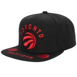 Front Loaded Snapback Toronto Raptors
