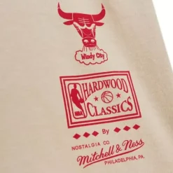 Game Day Pattern Tee Chicago Bulls