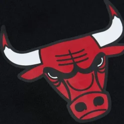 Game Time Fleece Hoodie Vintage Logo Chicago Bulls