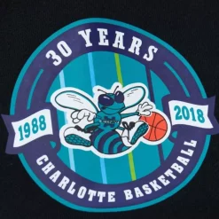 Game Time Fleece Hoodie Vintage Logo Charlotte Hornets