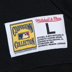 Game Time Fleece Hoodie Vintage Logo Tampa Bay Rays