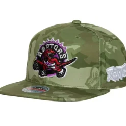 Ghost Camo Stretch Fitted Hwc Toronto Raptors