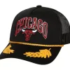 Gold Leaf Trucker Chicago Bulls