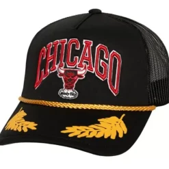 Gold Leaf Trucker Hwc Chicago Bulls