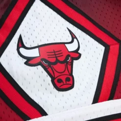 Golden Hour Glaze Swingman Short Chicago Bulls