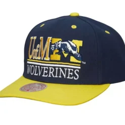 Gpa Snapback University Of Michigan
