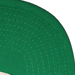 Grand Slam Snapback Coop Houston Astros