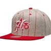 Grey Pin Pop Snapback Hwc Philadelphia 76Ers