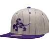 Grey Pin Pop Snapback Hwc Toronto Raptors