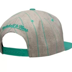 Grey Pin Pop Snapback Hwc Vancouver Grizzlies
