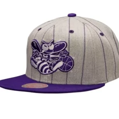 Grey Pin Pop Snapback Hwc Charlotte Hornets