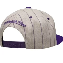 Grey Pin Pop Snapback Hwc Los Angeles Lakers