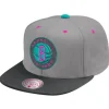 Grey Wolf Mags Snapback Brooklyn Nets