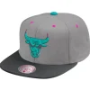 Grey Wolf Mags Snapback Chicago Bulls