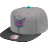 Grey Wolf Mags Snapback Charlotte Hornets
