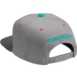 Grey Wolf Mags Snapback Charlotte Hornets