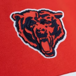 Head Coach Hoodie Chicago Bears