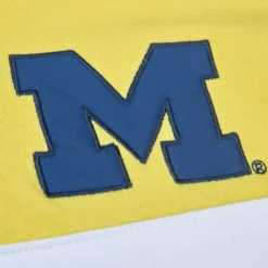 Head Coach Hoodie University Of Michigan