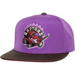 Heat Up Snapback Hwc Toronto Raptors