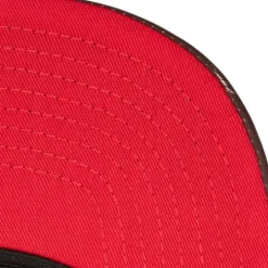 Heat Up Snapback Hwc Toronto Raptors