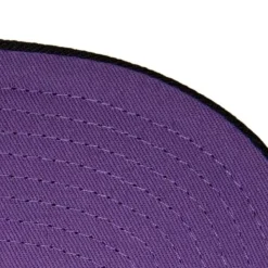 Heather Underpop Snapback Toronto Raptors