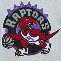 Heavyweight Fleece Hoodie Toronto Raptors