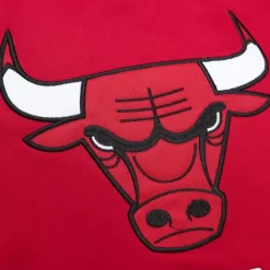 Heavyweight Satin Jacket Chicago Bulls