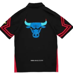 Hebru Shooting Shirt Chicago Bulls