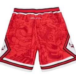 Hebru Shorts Chicago Bulls