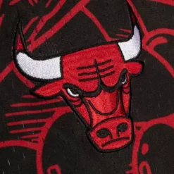 Hebru Shorts Chicago Bulls