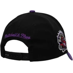 Highlight Real Carter Snapback Hwc Toronto Raptors