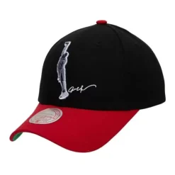 Highlight Real Snapback Hwc Philadelphia 76Ers Allen Iverson