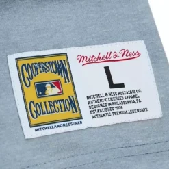 Highlight Sublimated Player Tee Boston Red Sox David Ortiz