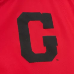 Home Team Lightweight Windbreaker University Of Georgia