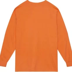 Homecoming Arch Ls Tee Florida A&M University