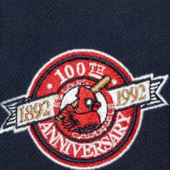 Homefield Fitted Coop St. Louis Cardinals