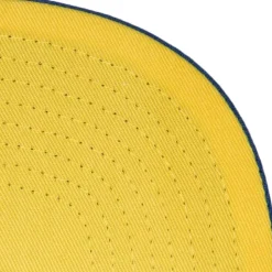 Hometown Snapback Coop Detroit Tigers