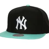 Hometown Snapback Coop New York Yankees