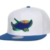 Hometown Snapback Coop Tampa Bay Rays