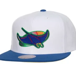 Hometown Snapback Coop Tampa Bay Rays