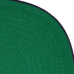 Hot Fire Snapback Hwc Charlotte Hornets