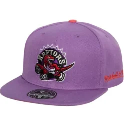 Hyperteam Fitted Hwc Toronto Raptors