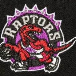 Icon Grail Pro Snapback Hwc Toronto Raptors