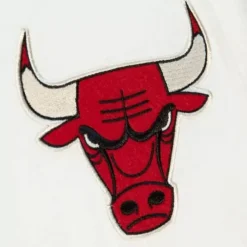 Icon Henley Chicago Bulls