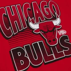 Incline Stacked Tee Chicago Bulls