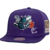 Jersey Love Snapback Hwc Charlotte Hornets