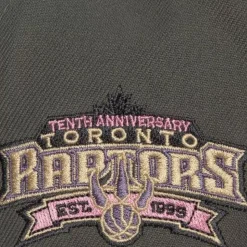 Lavender Dreams Fitted Hwc Toronto Raptors