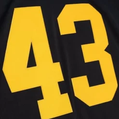 Legacy Troy Polamalu Pittsburgh Steelers Alternate 2008 Jersey